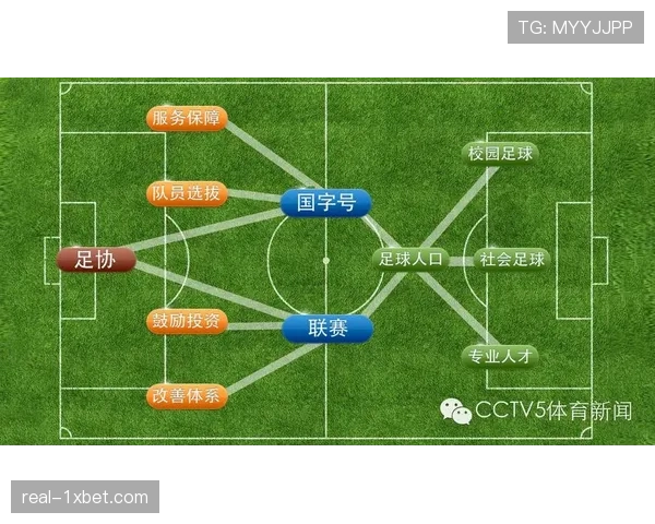 中国足球需构建长期发展规划 提升联赛竞争力与可持续性